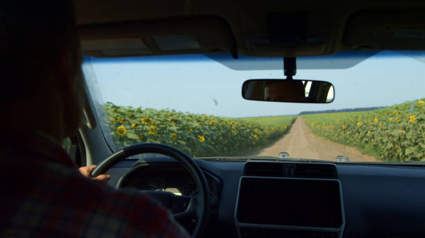 Les particularités de la conduite en milieu rural